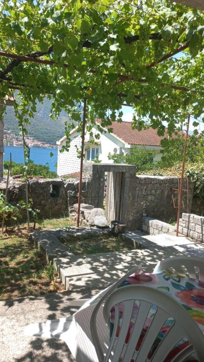 Apartments Vukasovic Котор Экстерьер фото